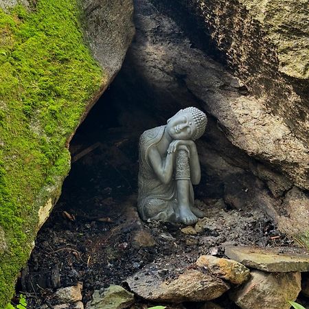 Sentiero Verde B&B Formazza Kültér fotó
